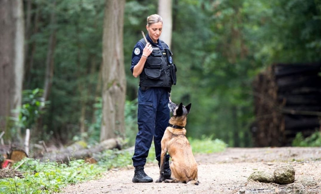 Illustration : Devenir gendarme maître de chien
